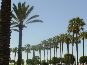 Long Beach, CA